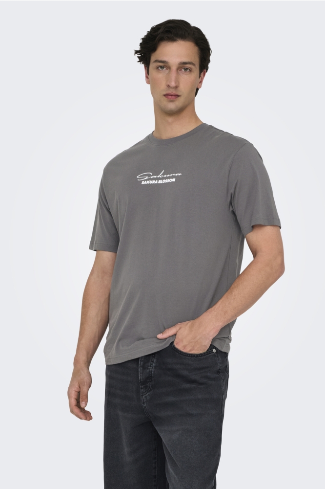ONSKEANE RLX SS PRINT TEE NOOS 22033620 Magnet